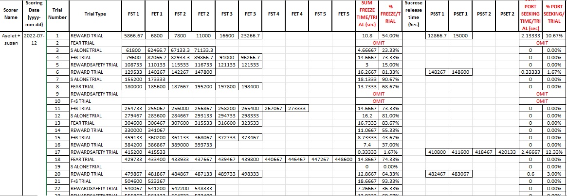 Example of partial output excel file